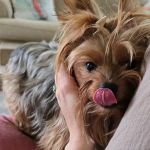 Meet your Posher, Kimberly